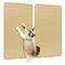 2 Piece Cat Scratcher Mat Set 32 x 20 Inch Natural Sisal Pads