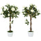 3FT Artificial Plant White Rose Floral Set of 2 in Pot, Fake Plant for Home Indoor Decor