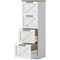 4 Drawer File Cabinet with Silent Slides, Vertical Farmhouse Filing Cabinet Fits Letter/A4 Size Home Office, White