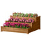 3-Tier Garden Bed Planter Box for Backyard, Patio, 49