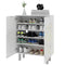 Shoe Cabinet, Shoe Storage Cabinet with Soft-Close Hinges and Adjustable Shelves, Holds 15-20 Pairs, High Gloss White
