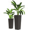 Set of 2 Tall Planters for Outdoor Plants with Drainage Holes, Outdoor Flower Pots for Entryway, Patio and Deck