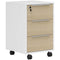 3 Drawer File Cabinet with Wheels, Vertical Filing Cabinet with Lock, Oak