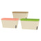 3 Pack Self Watering Flower Pots, 10.5 Inch Planter Box with Water Level Indicator for Vegetables, Succulents Plants