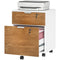 2 Drawer Small Filing Cabinet Lockable Office Storage Cabinet with Hanging Bars for A4 Legal Letter White Nature Wood