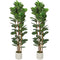 6FT Artificial Fiddle Leaf Fig Tree Set of 2, Fake Potted Tree with Solid Wood Trunks for Indoor Decor, Green