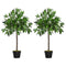 3FT Artificial Laurel Tree Set of 2, Lifelike Fake Plant with 564 Leaves, Potted Fake Plant for Home Office Decor, Green