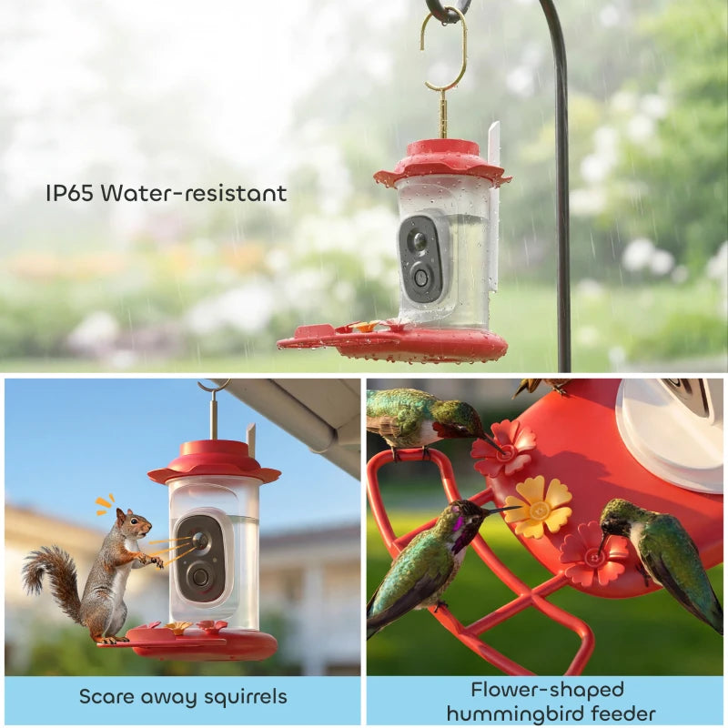 Smart Bird Feeder with Camera, AI Identify 16000+ Birds, 2K HD Live Video, 3W Solar, Instant Arrival Alerts