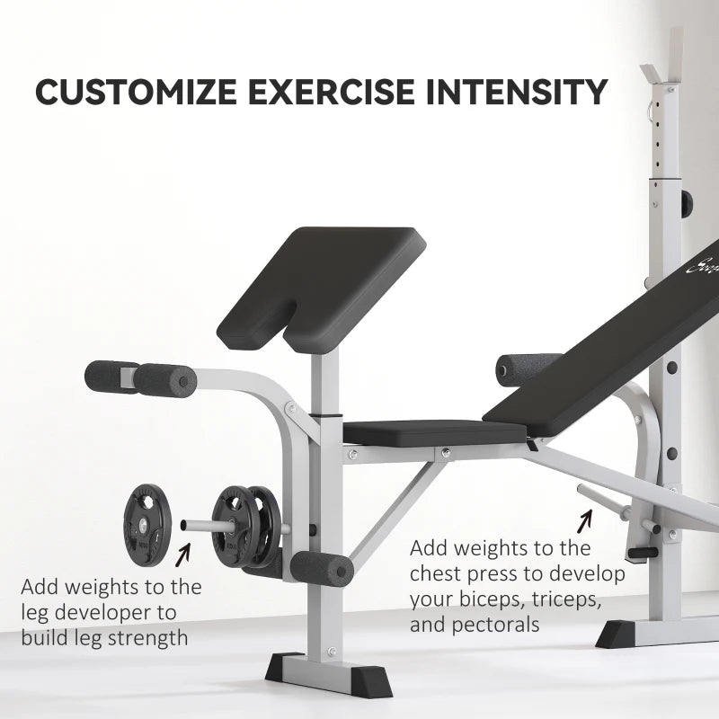 Soozier Bench Press Set Adjustable Weight Bench with Squat Rack, Preacher Curl Pad, Leg Developer and Weight Storage, Grey
