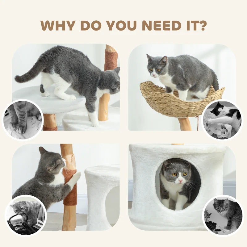 40" Real Wood Cat Tree, Cat Tower for Indoor Large Adult Cats with Scratching Posts, Condo, Perch, Washable Cushion,
