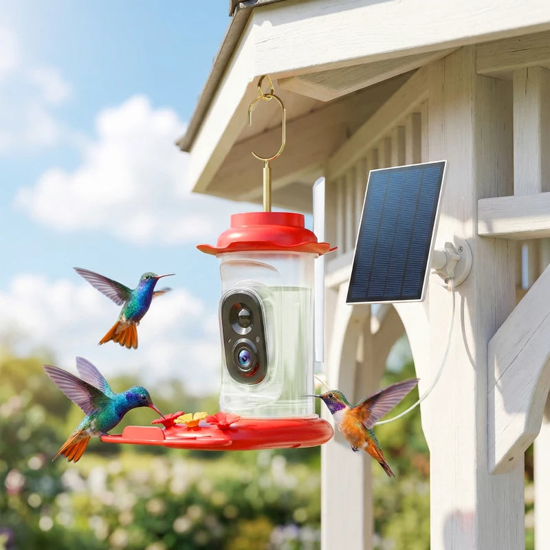 Smart Bird Feeder with Camera, AI Identify 16000+ Birds, 2K HD Live Video, 3W Solar, Instant Arrival Alerts