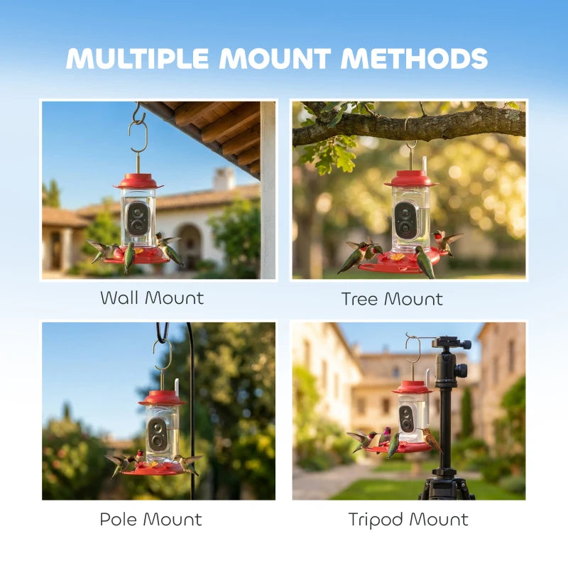 Smart Bird Feeder with Camera, AI Identify 16000+ Birds, 2K HD Live Video, 3W Solar, Instant Arrival Alerts