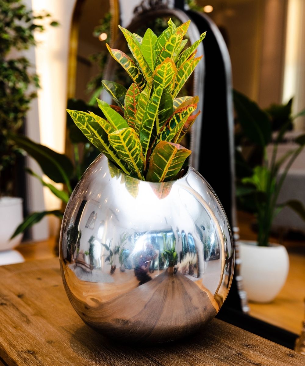 Nico - Brass Floor Planter (Multiple Sizes) 
