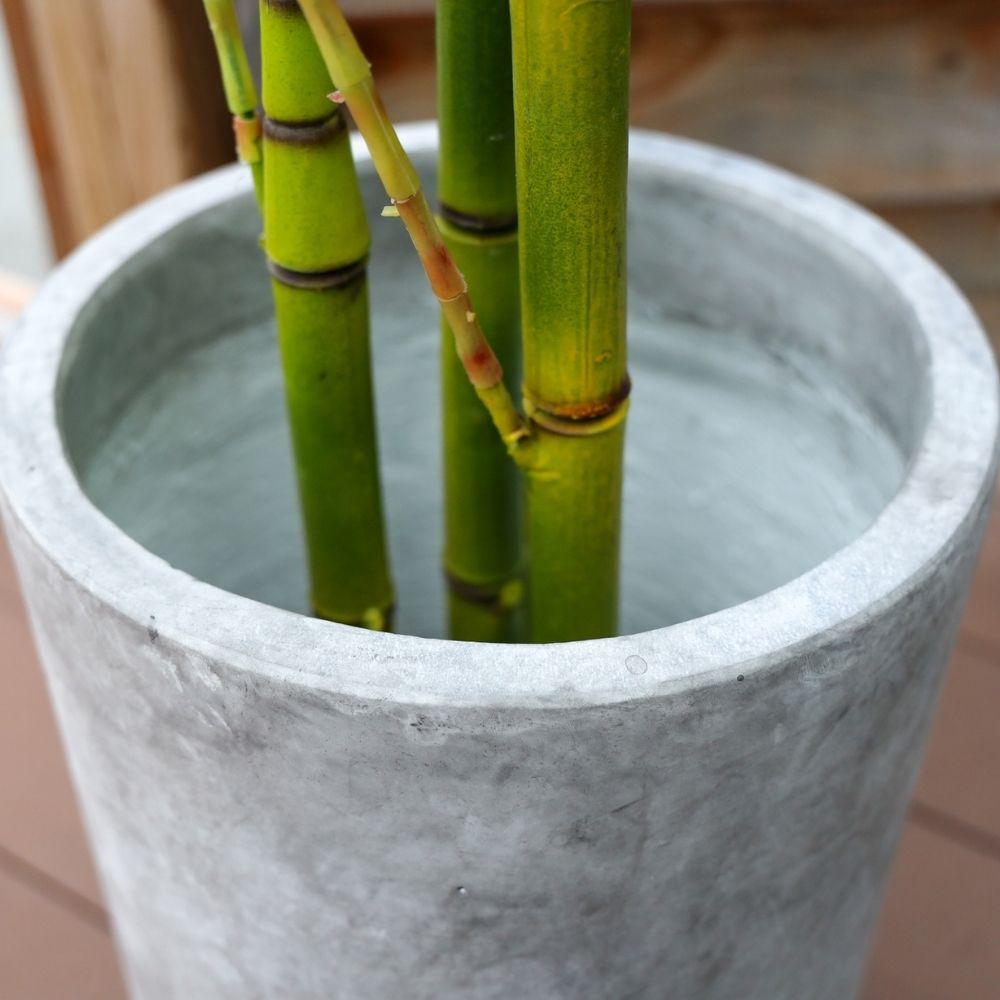 Xaca Cement Planter 10'' 