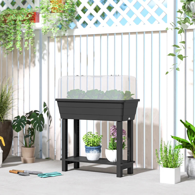 41L Self Watering Raised Garden Bed w/ Ventilation Transparent Lid Greenhouse, Planter Box w/ Storage Shelf, Black