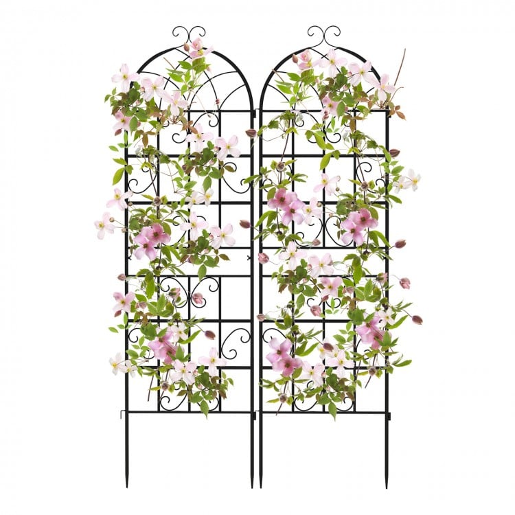 2/4 Pack 71 x 20 Inch Metal Garden Trellis for Climbing Plants-Set of 2
