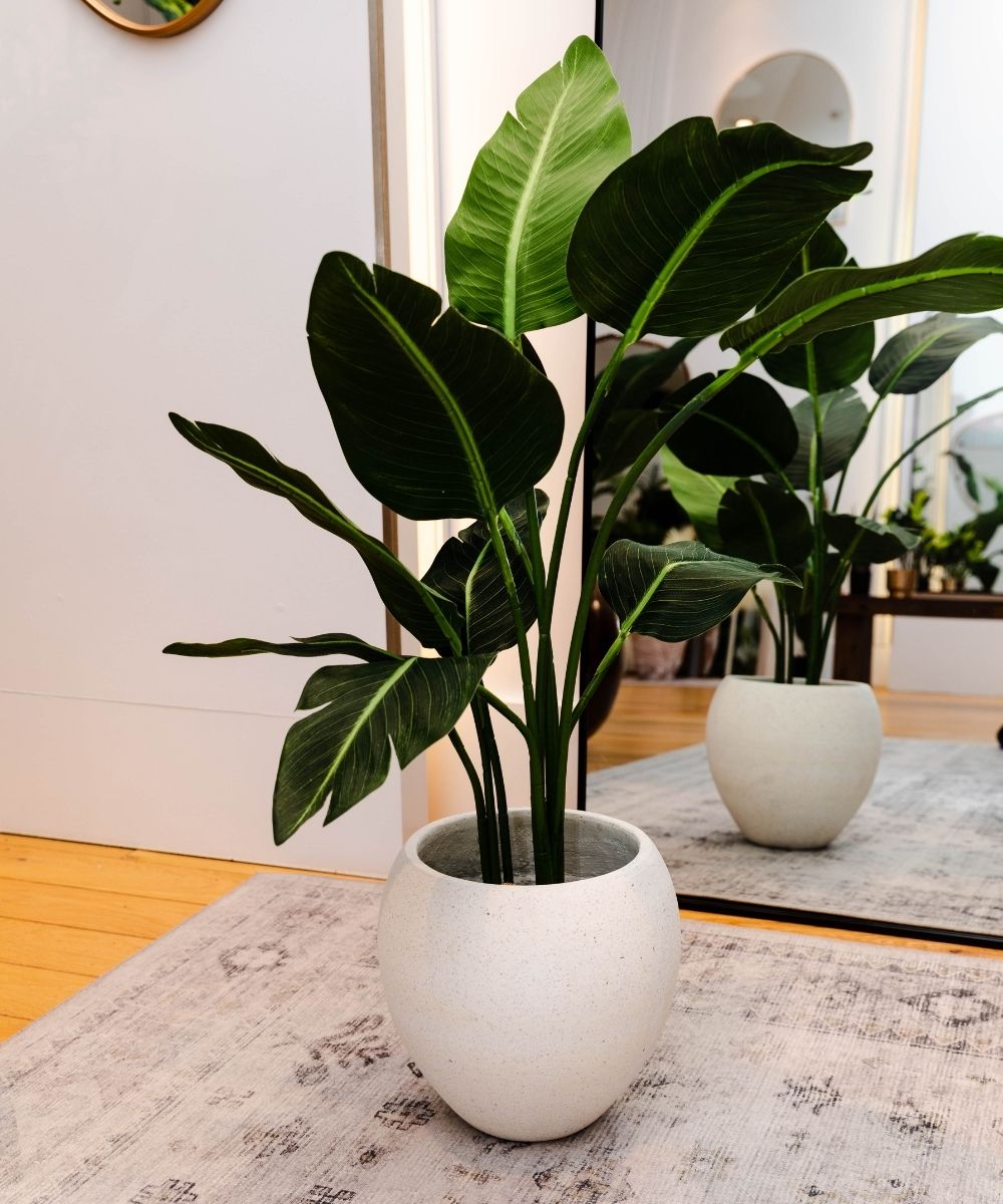 Boho Artificial Bird Of Paradise Potted Plant 43'' 