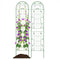 2 Pack 86.5 x 20 Inches Metal Garden Trellis for Climbing Plants-Green