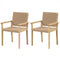 Indoor Outdoor Wood Chair Set of 2-Natural
