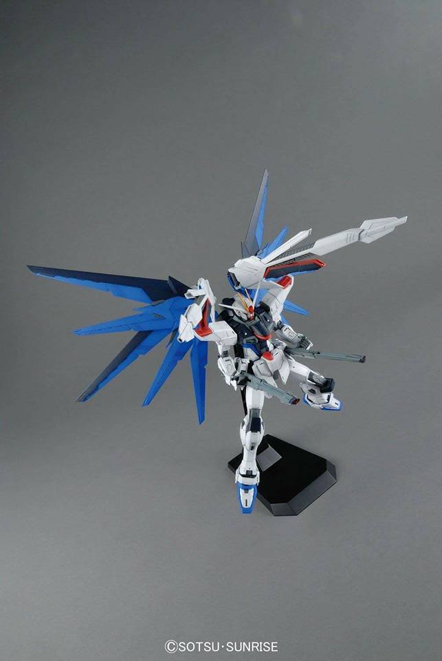 MG 1/100 Freedom Gundam Ver.2.0 