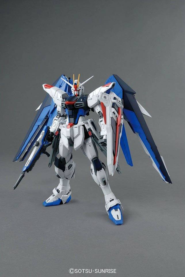 MG 1/100 Freedom Gundam Ver.2.0 