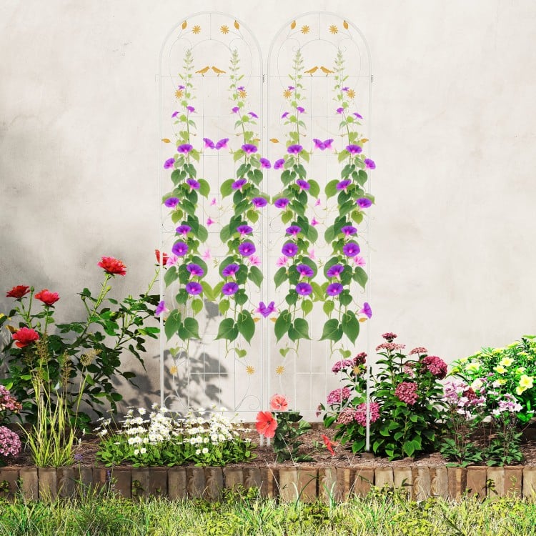 2 Pack 86.5 x 20 Inches Metal Garden Trellis for Climbing Plants-White