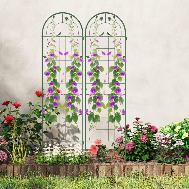 2 Pack 71 x 20 Inch Metal Garden Trellis Rustproof Plant Support for Climbing Plants-Green