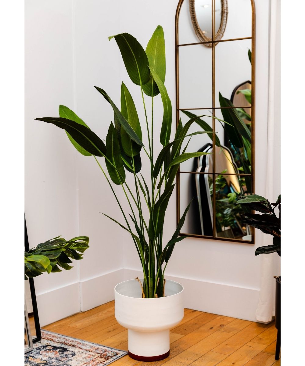 Cana Artificial Canna Potted Plant (Multiple Sizes) 