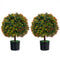 2-Pack Artificial Boxwood Topiary Ball Tree with Orange Fruit