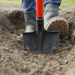 Shovel Round Point 41-1/2" X 10-1/4" Blade Fibreglass D-Handle 