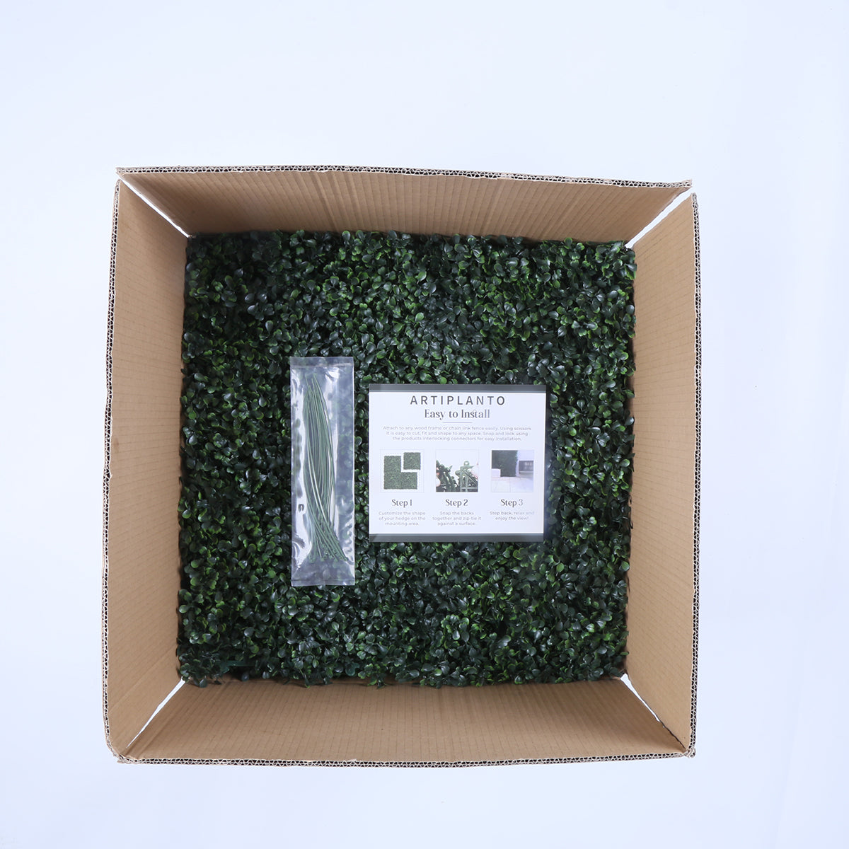 Barcelona (box of 12) 