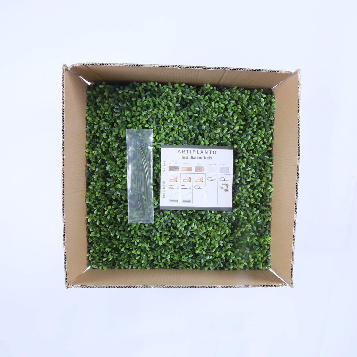 Valencia (box of 12) 