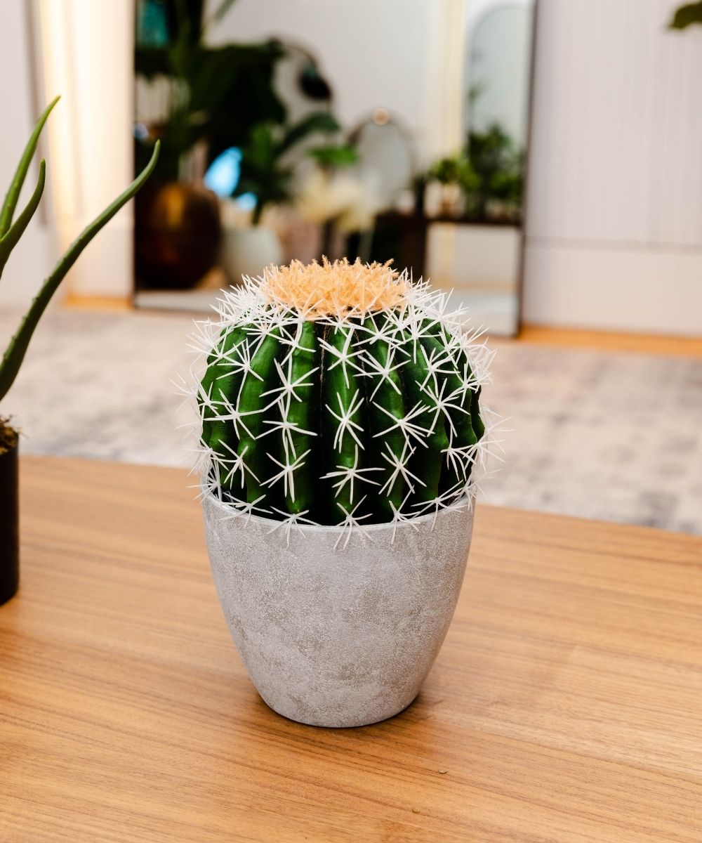 Coco Artificial Cactus Potted Plant 11" 