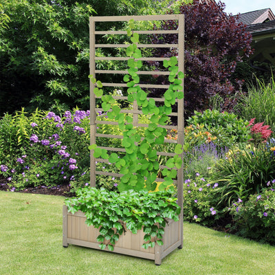 Raised Garden Bed with Trellis for Climbing Plants 