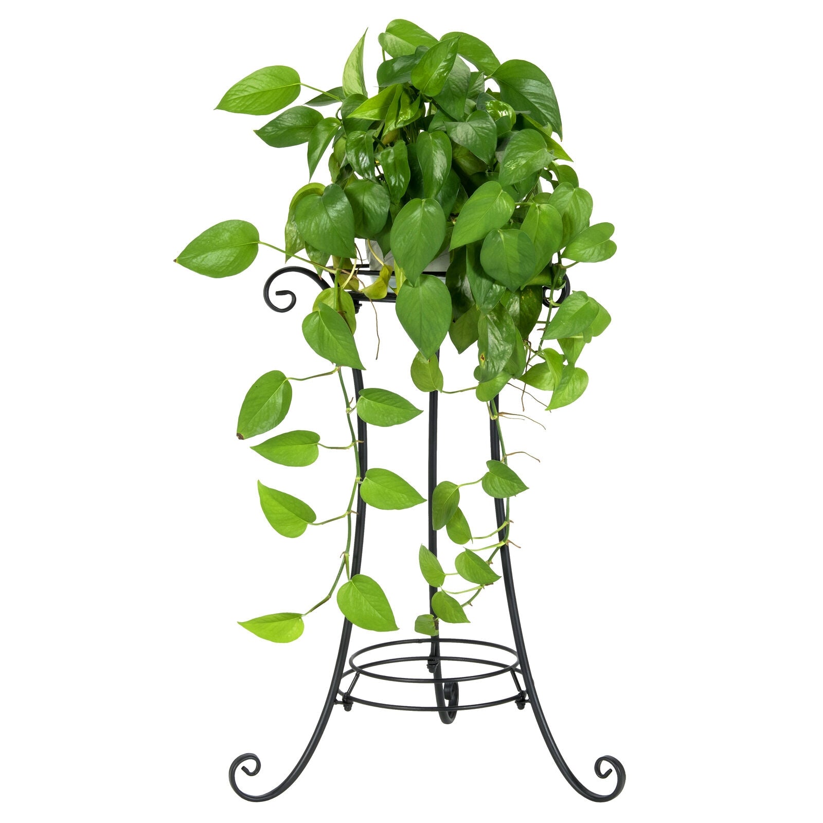 Heavy Duty Metal Planter Holder with Stable Triangular Structure