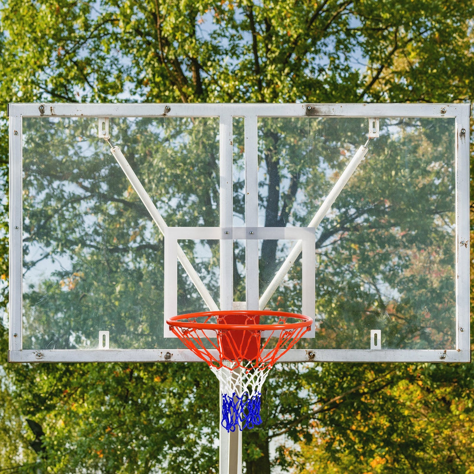 18 inch Wall Mounted Basketball Hoop