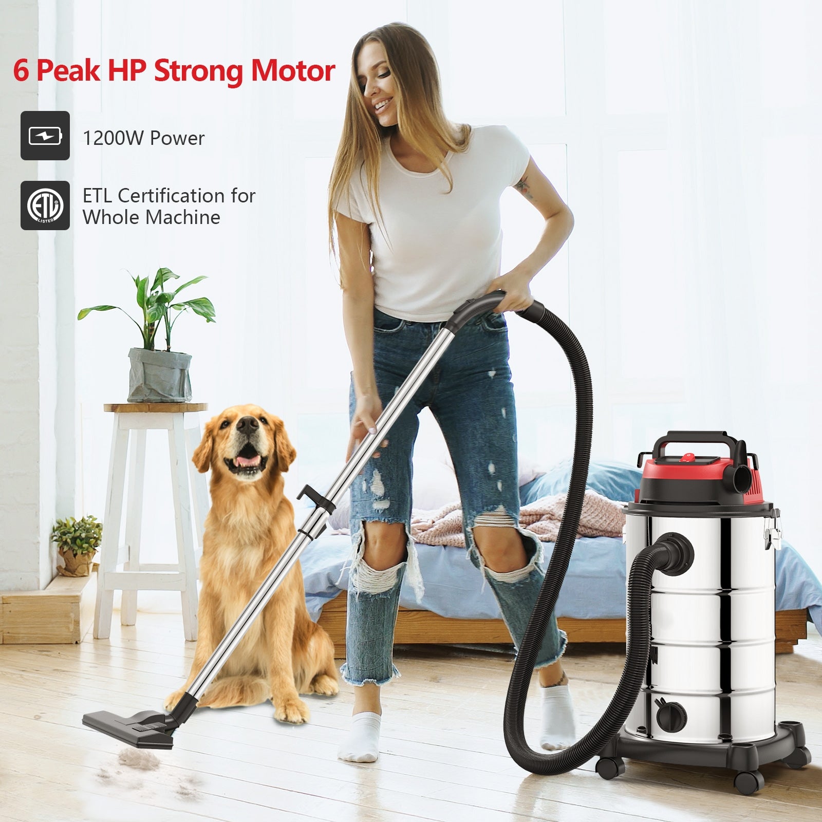 6 HP 9 Gallon Shop Vacuum Cleaner with Dry and Wet and Blowing Functions