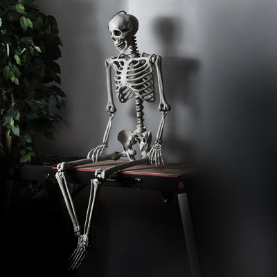 5.4 Feet Halloween Skeleton Life Size Realistic Full Body HangingÂ 