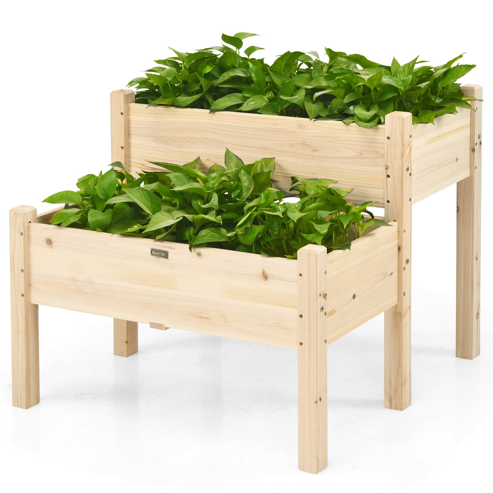 2 Tier Wooden Elevated Planter Box with Legs and Drain Holes