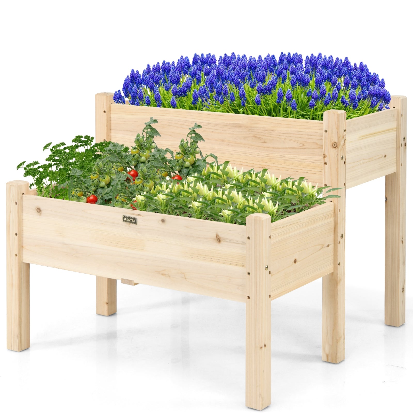 2 Tier Wooden Elevated Planter Box with Legs and Drain Holes