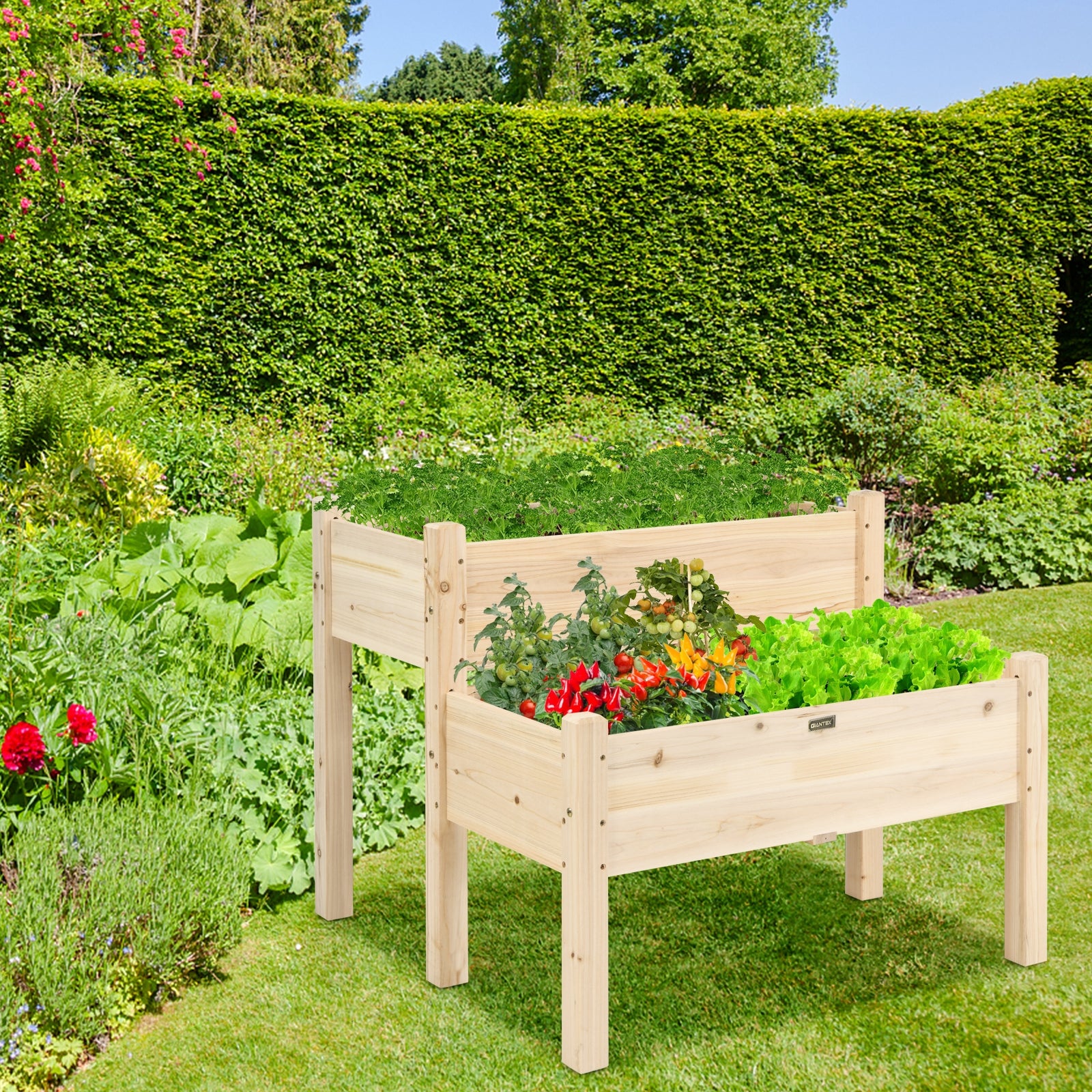 2 Tier Wooden Elevated Planter Box with Legs and Drain Holes