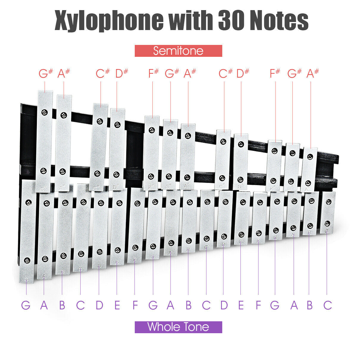 Foldable Aluminum Glockenspiel Xylophone 30 Note with BagÂ 