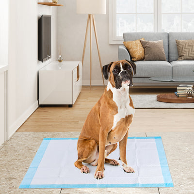 100 Pieces 30 x 36 Inch Pet Wee Pee Piddle PadÂ 