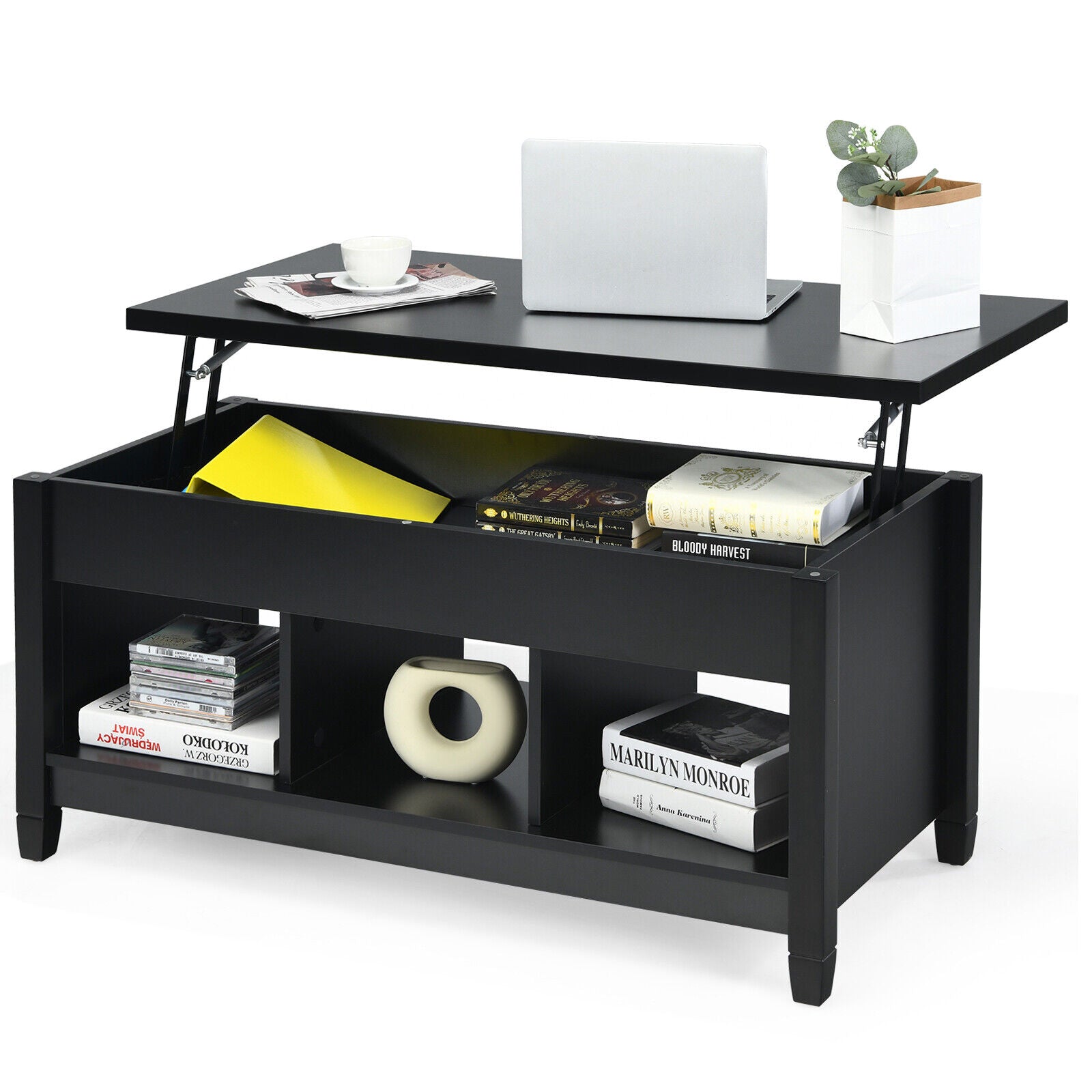 Lift Top Coffee Table with Storage Lower Shelf-Black