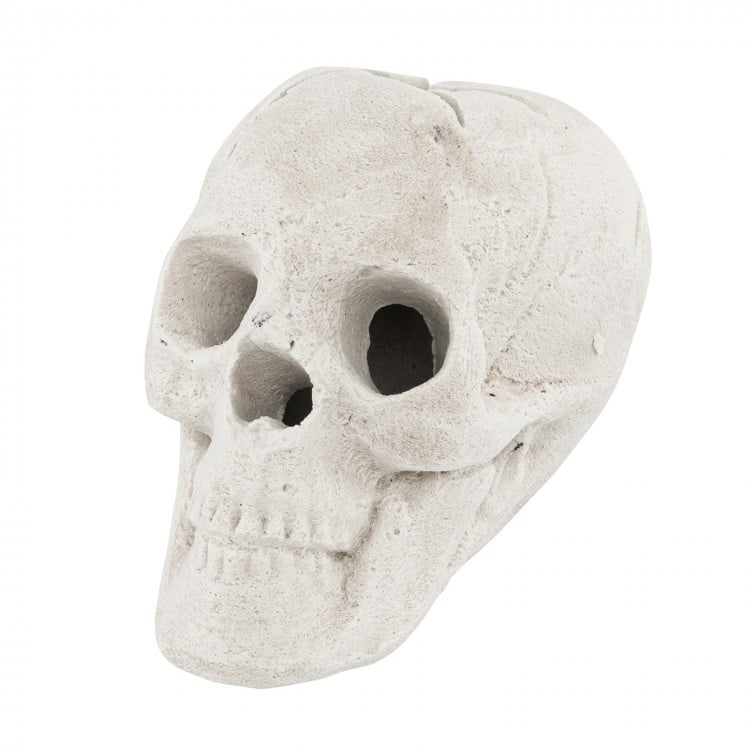 Halloween Fire Pit Skull Halloween Decoration - Beige