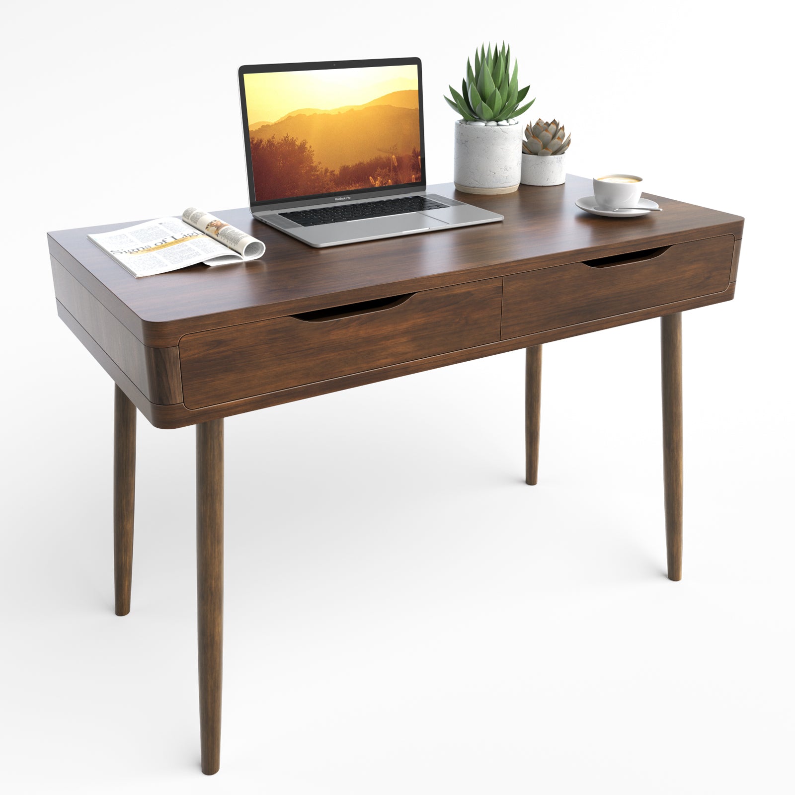 Mid-Century Computer Desk and Workstation with 2 Drawers