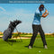 Golf Stand Cart Bag with 6 Way Divider Carry Pockets-Black