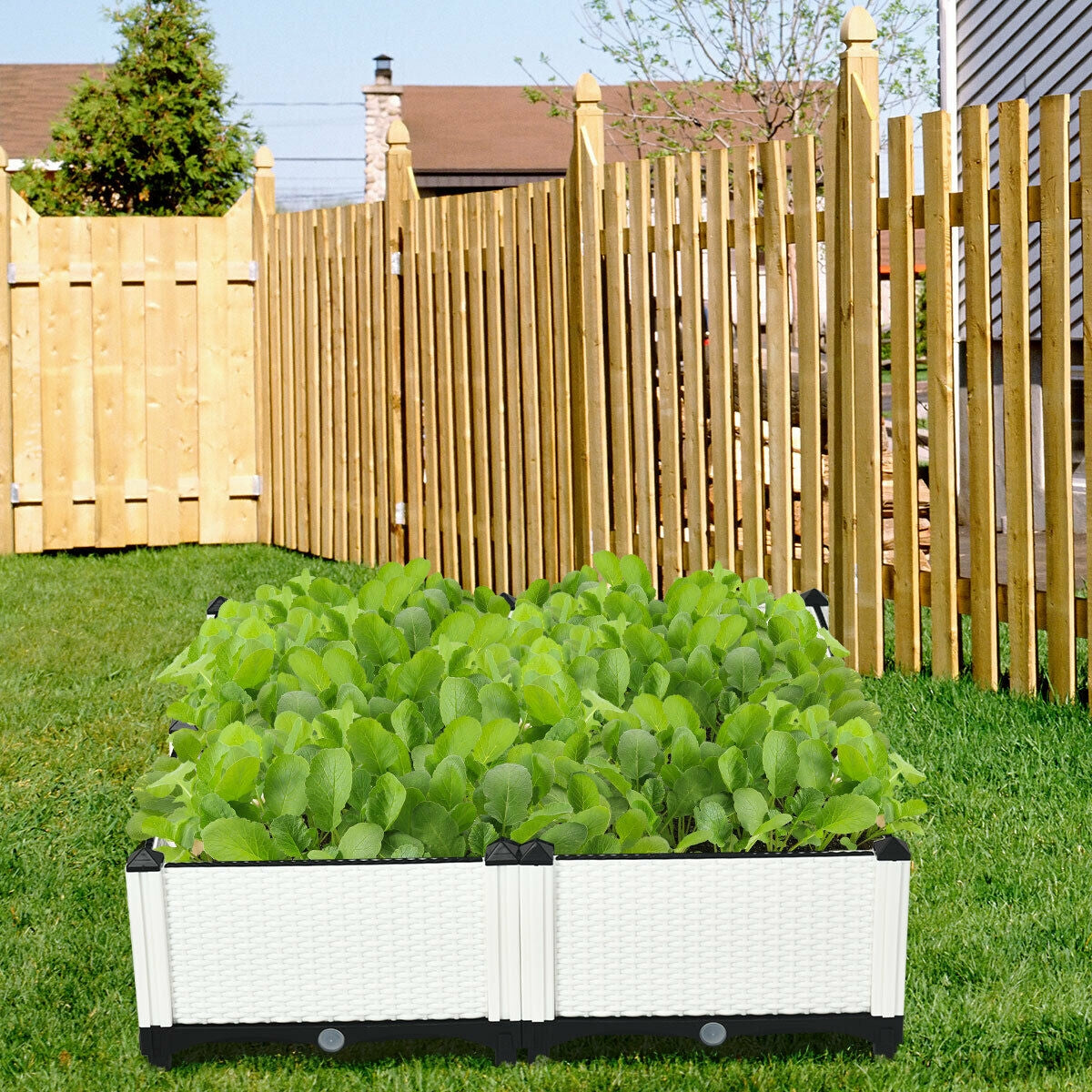 Set of 4 Elevated Flower Vegetable Herb Grow Planter Box-White