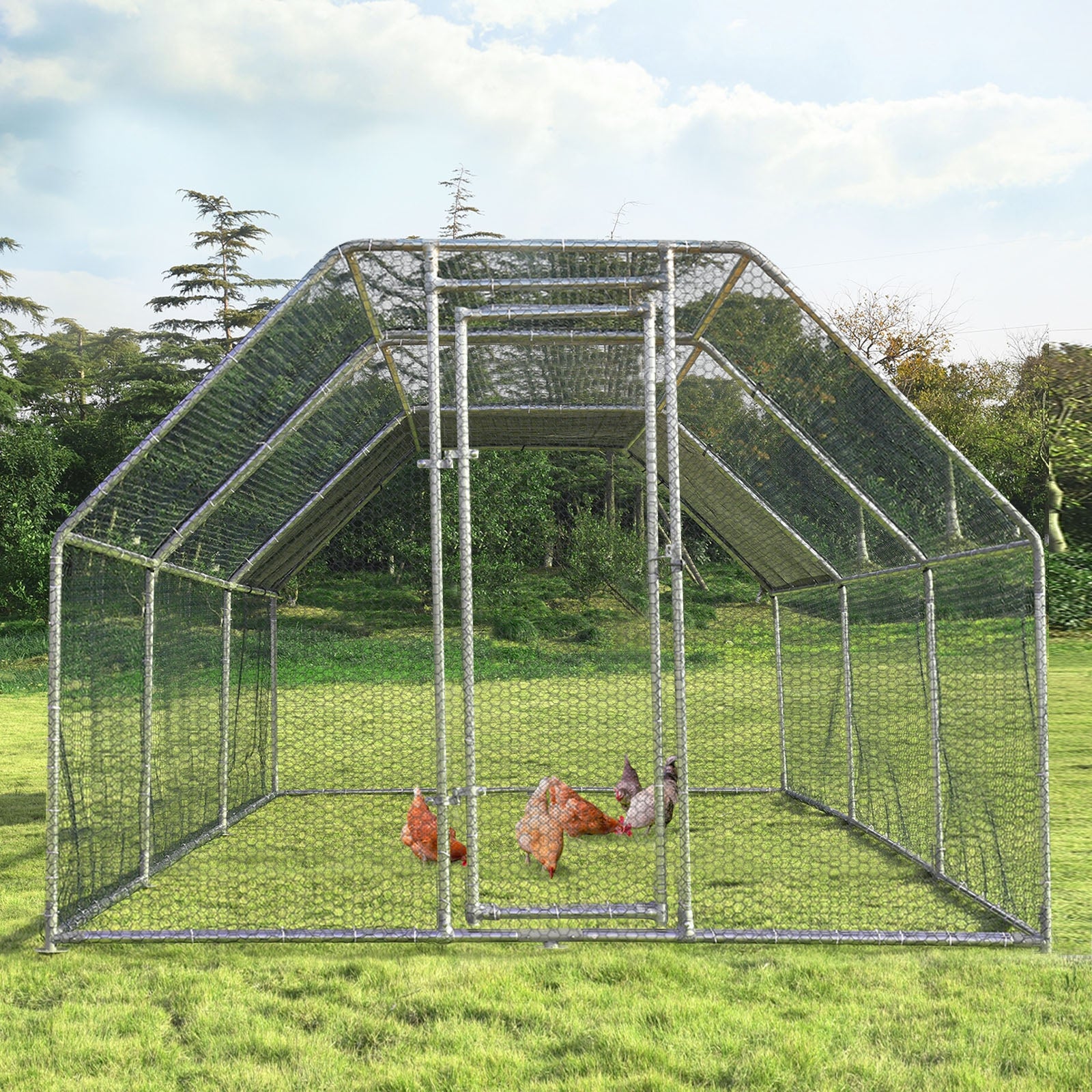 9.5 x 19 Feet Large Walk In Chicken Coop