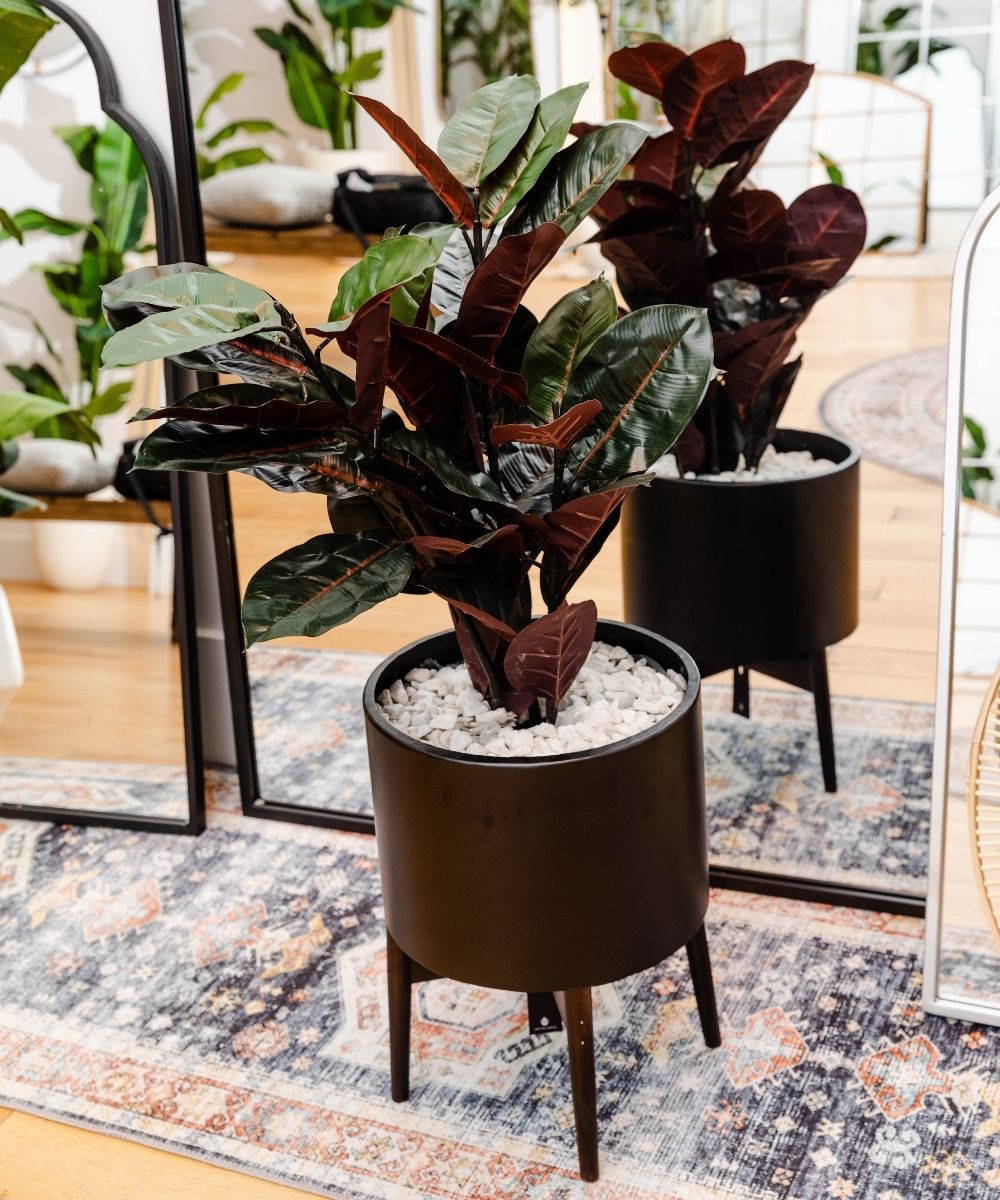 Ceza - Brass Modern Plant Stand With Black Planter 